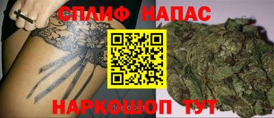 стаф Будённовск